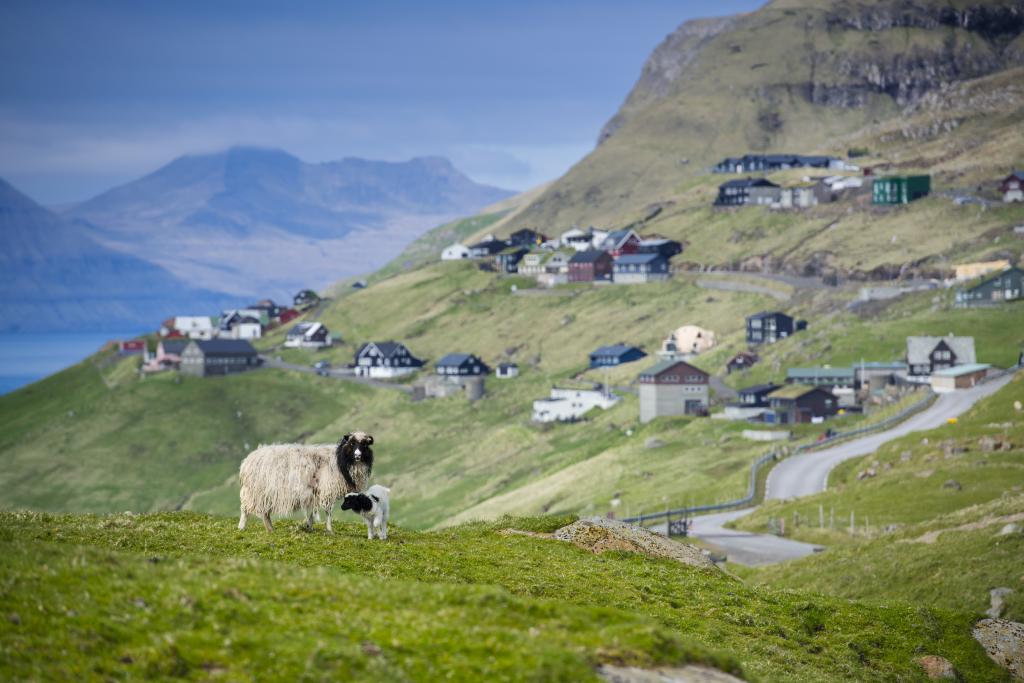 Tórshavn - Velbastaður