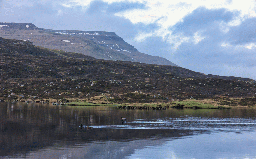 Toftir - Runavík