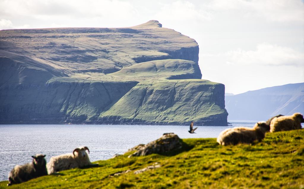 Sandur - Søltuvík