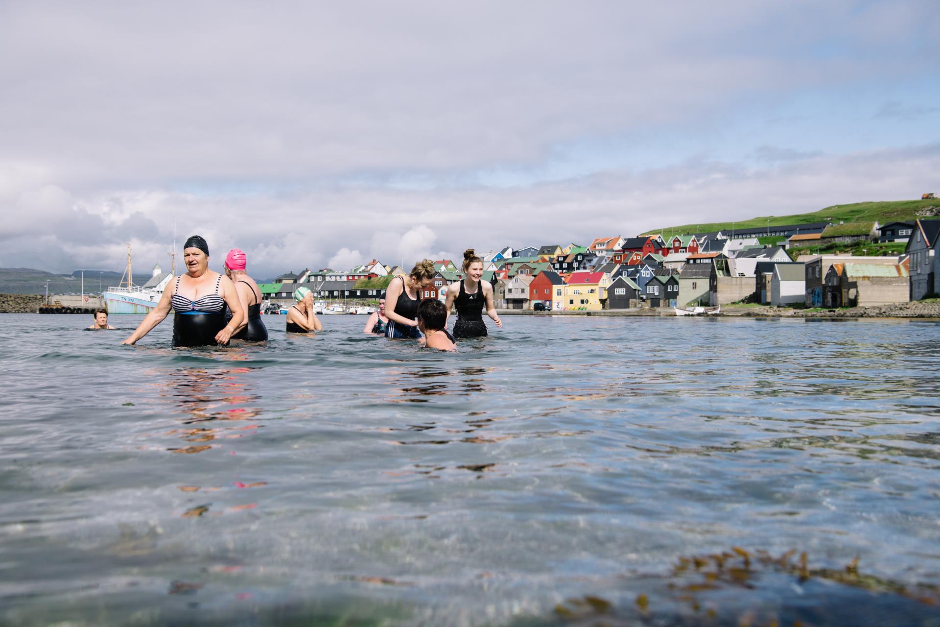 Dipping Swa Swimming in Nólsoy, Faroe Islands. By Klara Johannesen