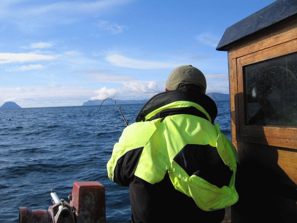 Hvíthamar (Fishing/Sightseeing by boat)