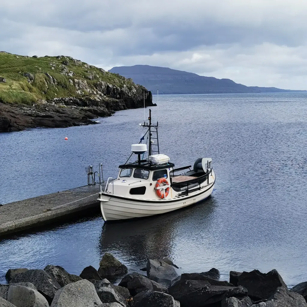 Fishing/Sightseeing by boat