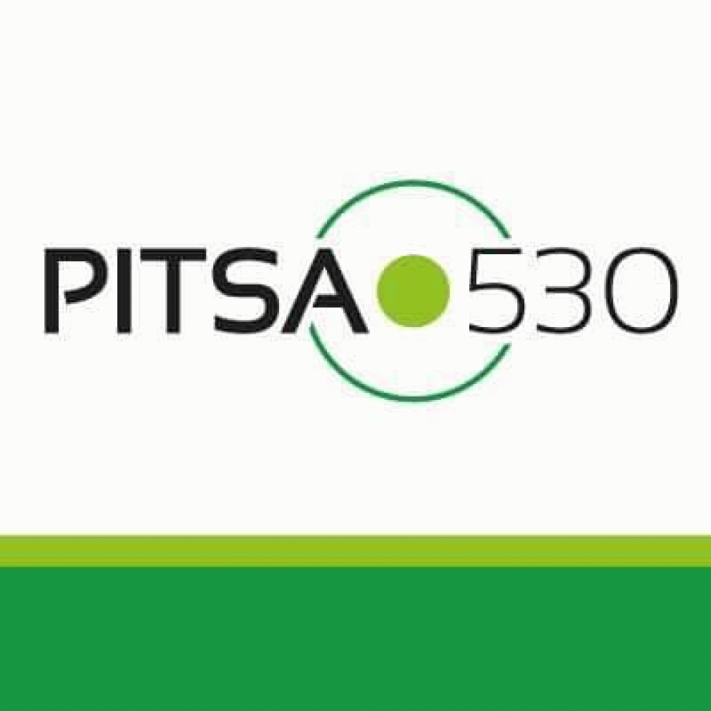 Pitsa 530