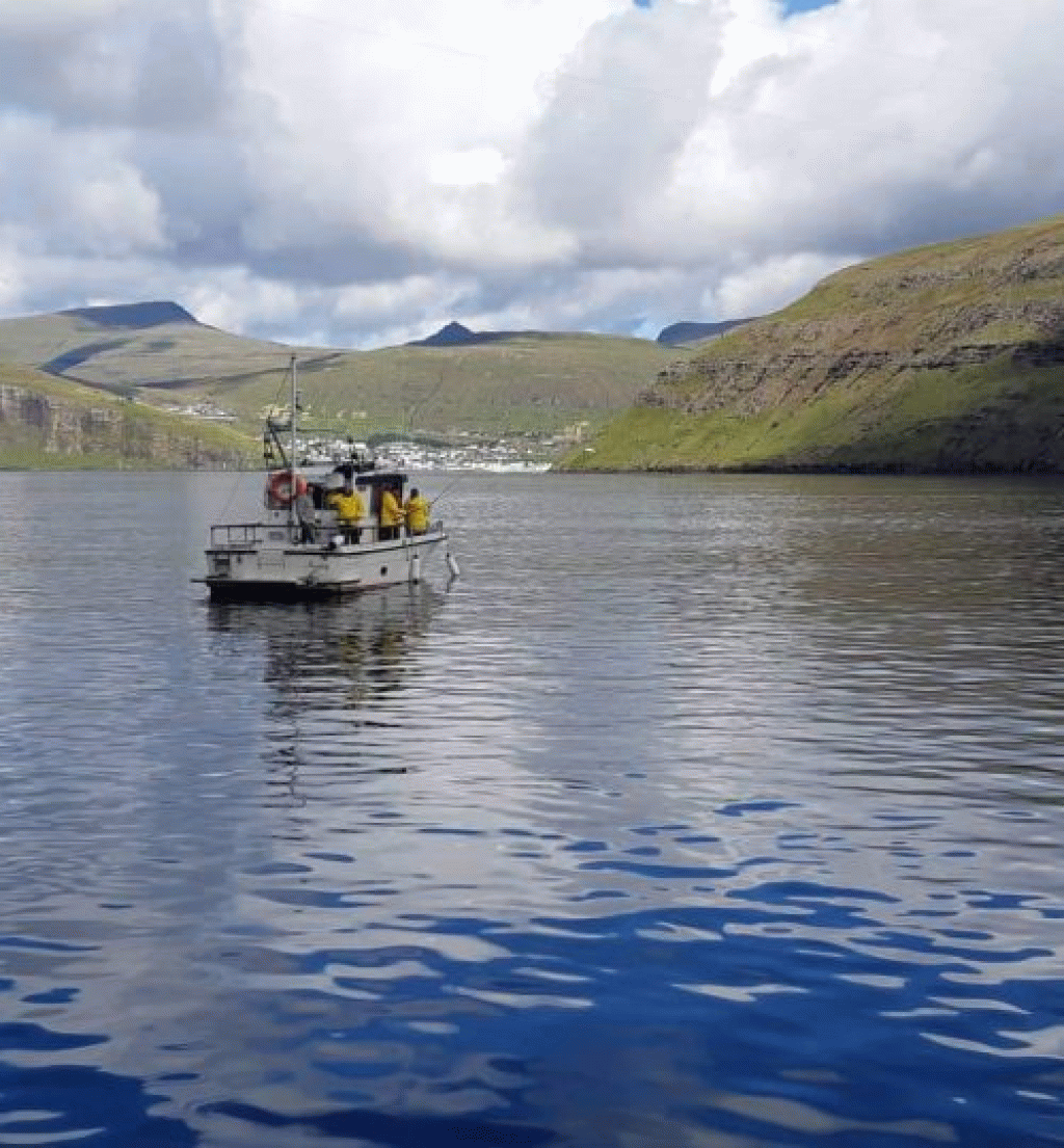 Tórshavn Sea Adventure